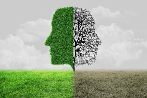 白银红柳广告最新一期，详细步骤指南与广告亮点解读