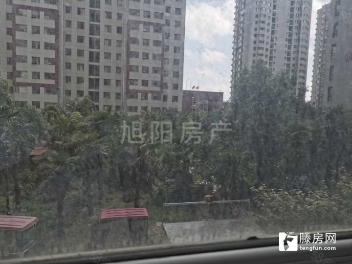 滕州市状元府最新动态更新