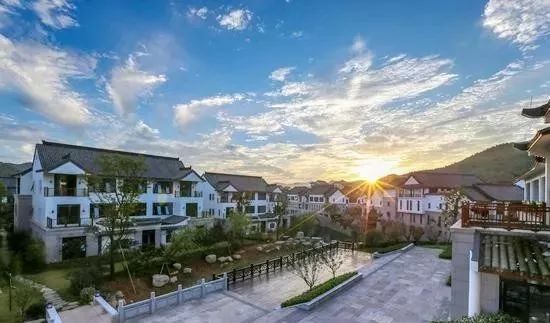 阳邑三农小镇最新动态更新，最新消息汇总