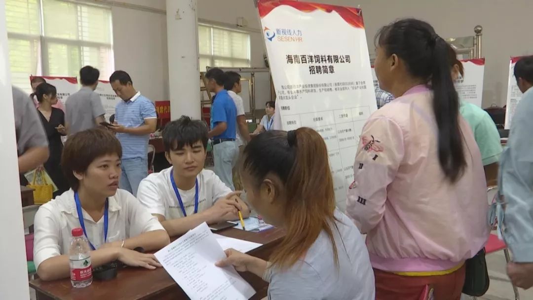 海南省定安县最新招聘及求职步骤指南