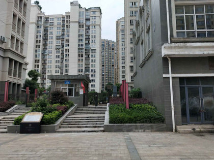 株洲红盾雅园最新动态揭秘,家的温馨与友情的交织生活