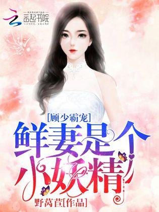 莫小语冷修全最新章节，深度解析与探讨