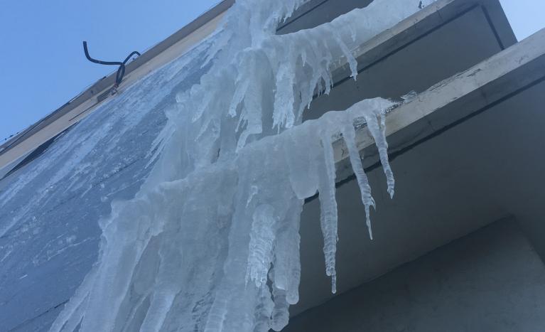 汽车饰品的销售 第390页