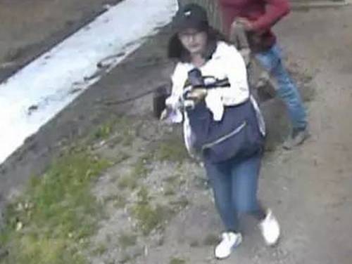 美国失踪北大女生最新消息，力量与追梦的旅程揭秘