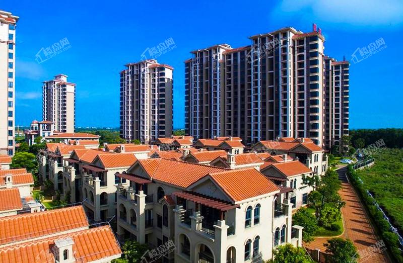 澄迈碧海蒙苑，日常趣事与最新进展速递