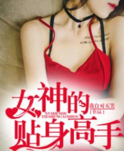 女神的贴身高手，都市高手与女神的传奇之旅最新章节列表