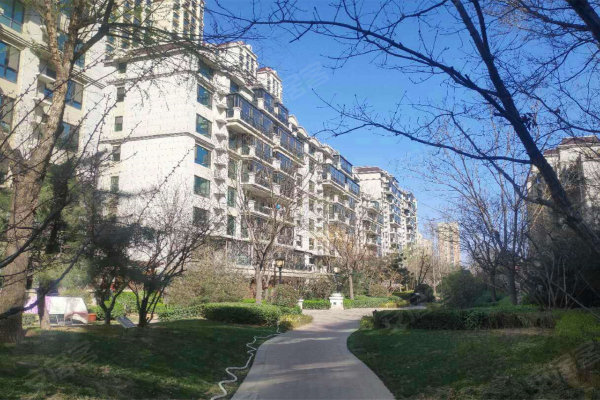 鑫界王府二手房购买指南,从入门到签约的详细步骤及最新房源信息