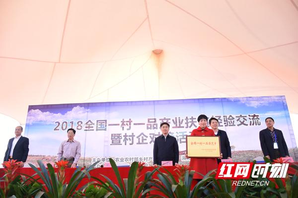 常宁清华一品最新动态，温馨日常小故事揭秘其进展