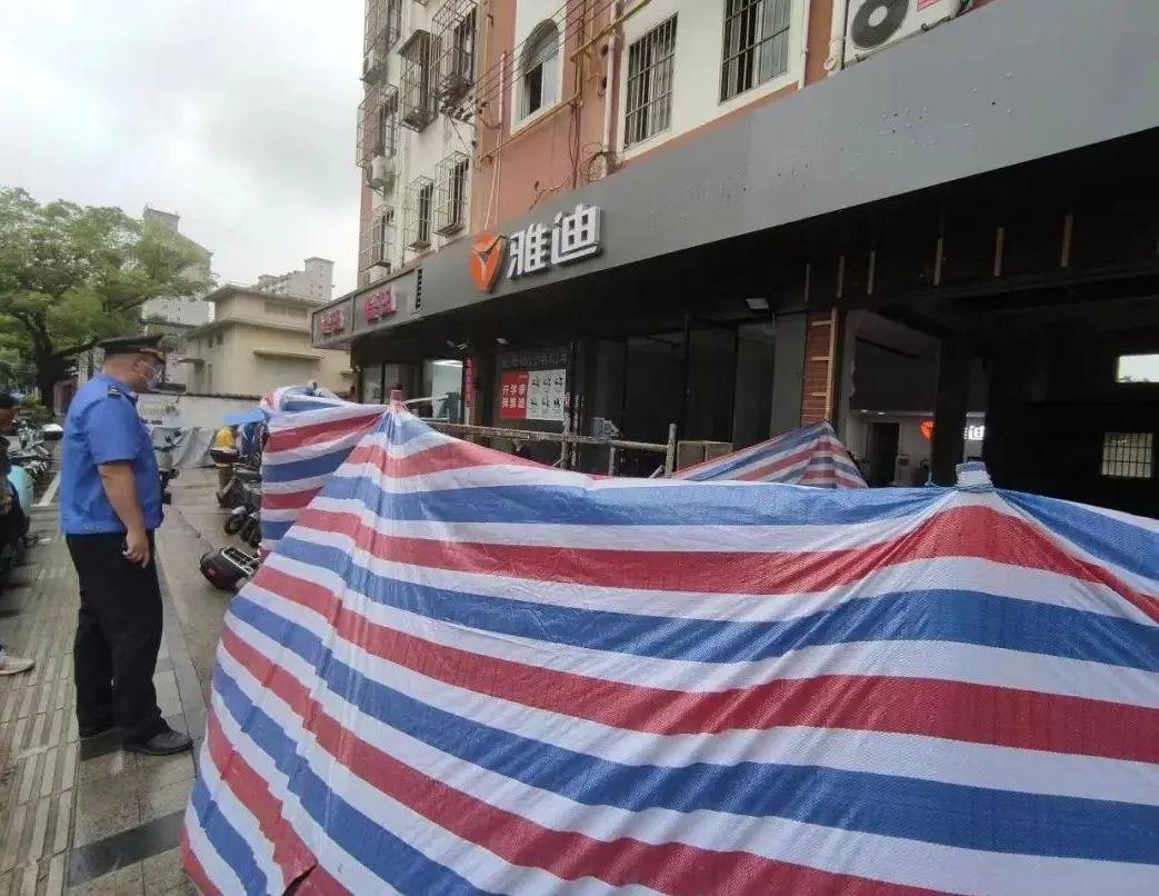 台风最新动态，拥抱自然的奇妙之旅——台风第12号之旅