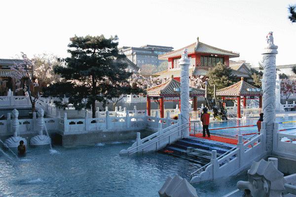 九华最新动态更新概况