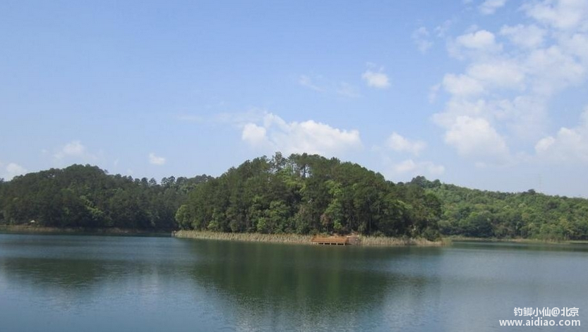 淮南最新野钓探索,自然鱼获的极致垂钓乐趣