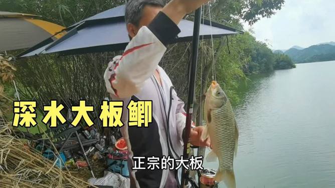 淮南最新野钓探索,自然鱼获的极致垂钓乐趣