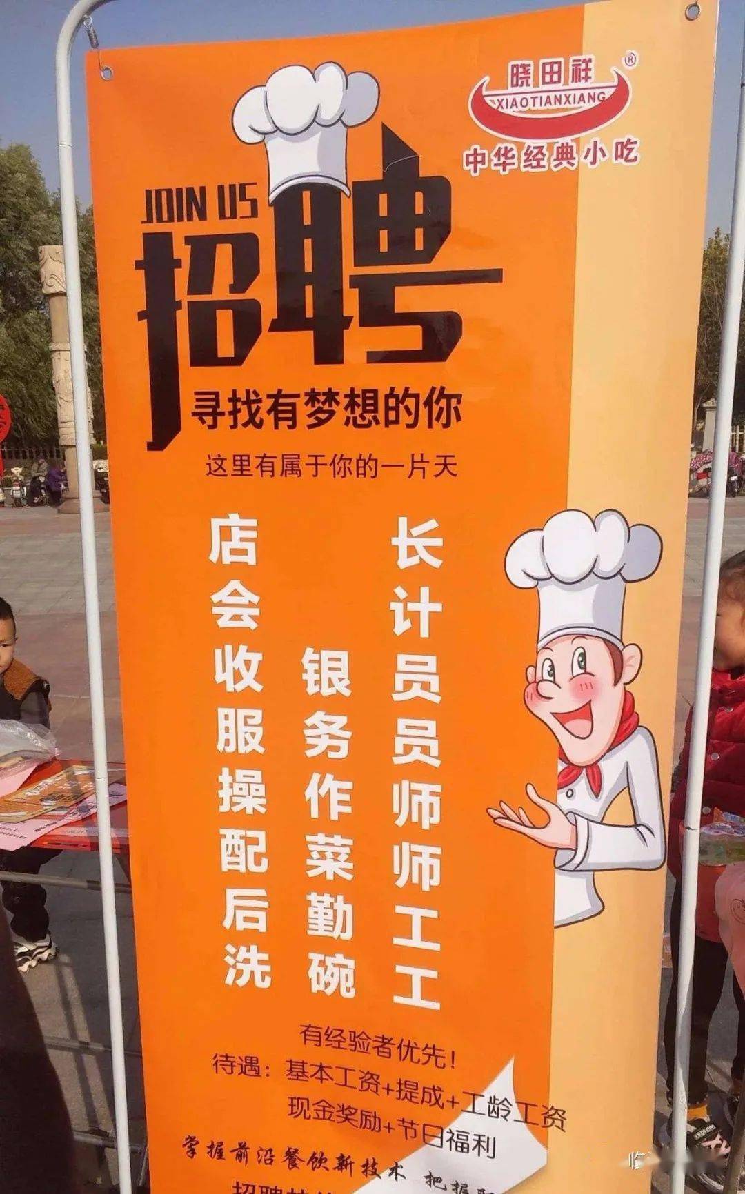 金凤最新招聘详解，应聘步骤指南与求职成功秘籍