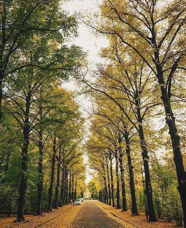 德国柏林最新状况深度解析,观点阐述与分析