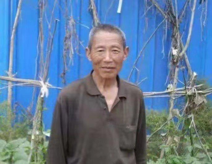 最新夜夜视频,观点分析与反思