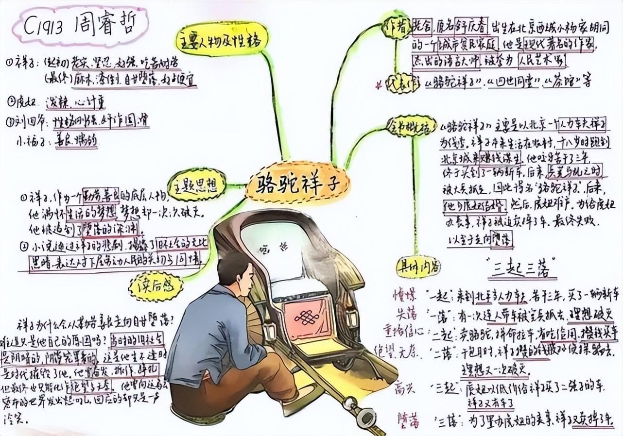 纸条最新版，探索奇妙日常