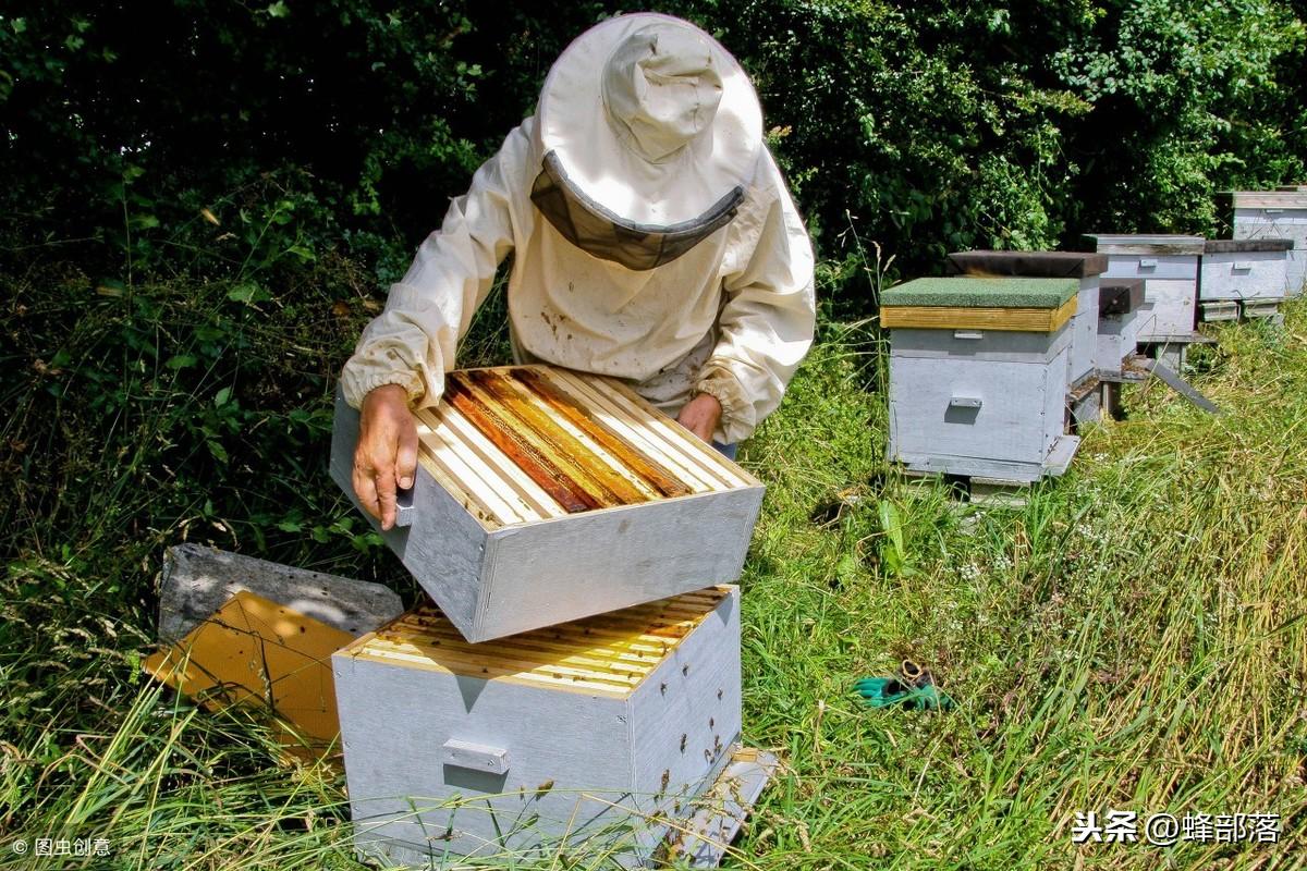 最新卖刀群，探索刀的独特魅力世界！