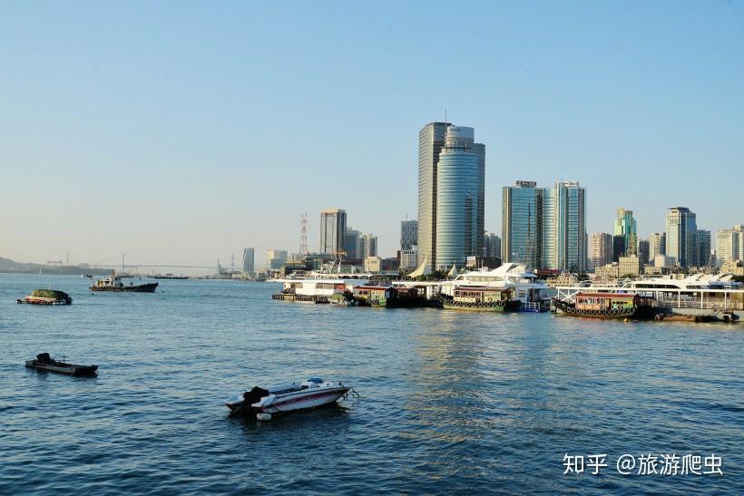 上海回厦门最新动态，多维度视角下的探讨与影响