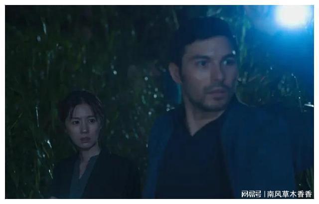 台湾最新悬疑剧,谜雾中的温情日常