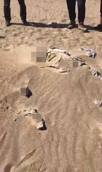 李海军干尸日常趣事与友情纽带，最新动态与趣味一览