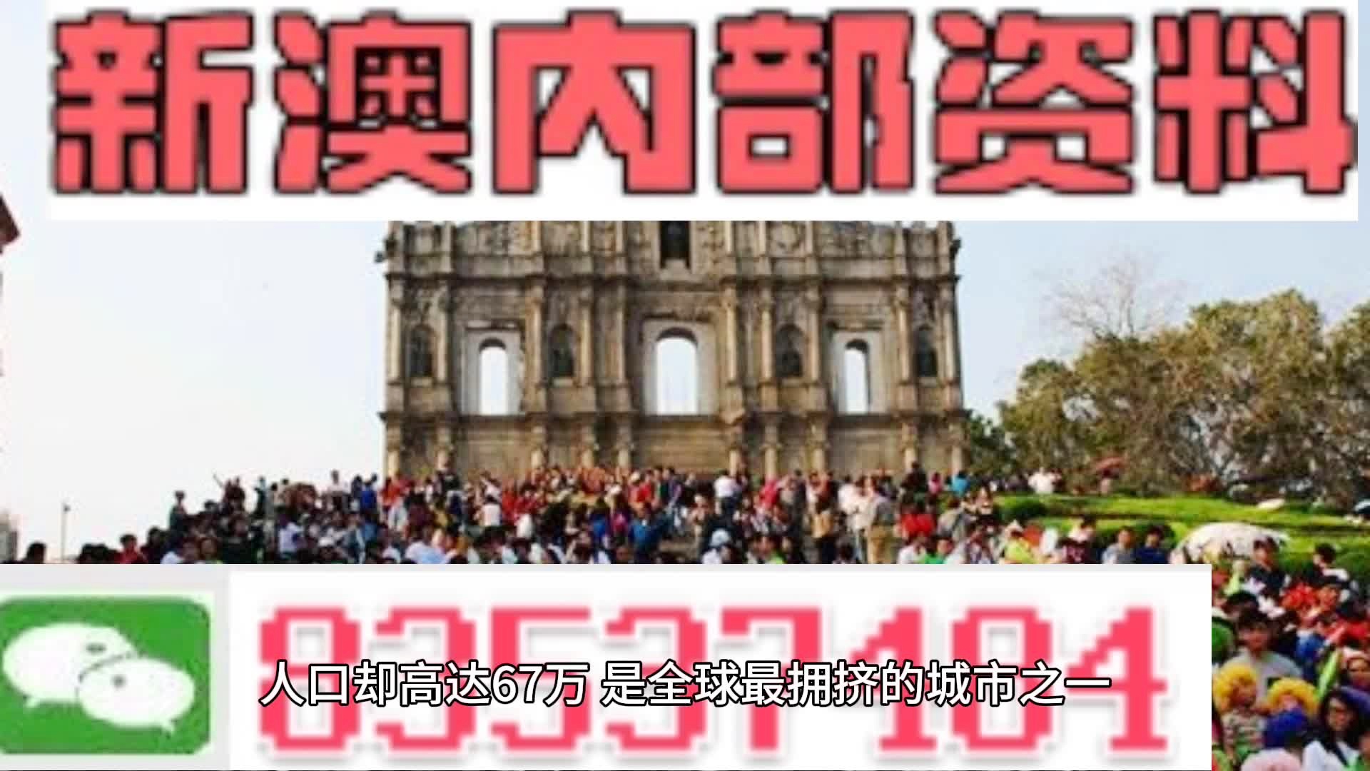 2024新澳门免费长期资料,全盘细明说明_专业版49.204