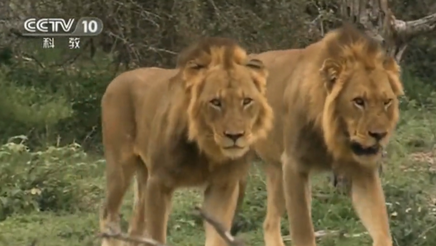 停车场服 第354页