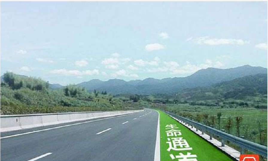 新澳门一肖一特一中,高速应对逻辑_生态版12.195