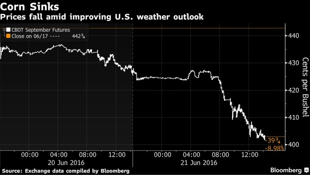澳门王中王100%期期准确,化学工程与技术_零障碍版51.313