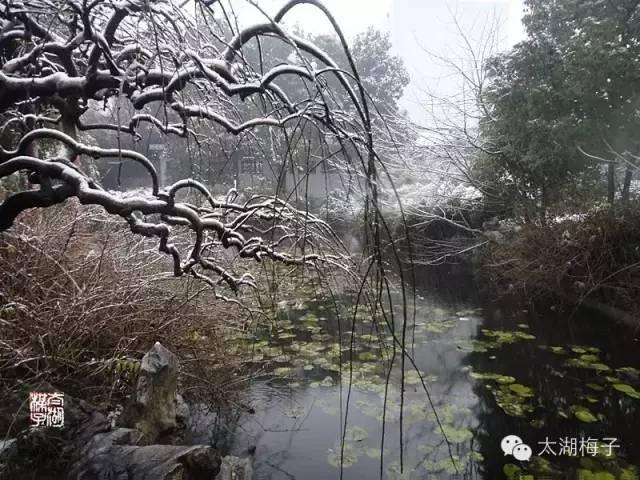 轻素最新图,小巷深处的独特风情