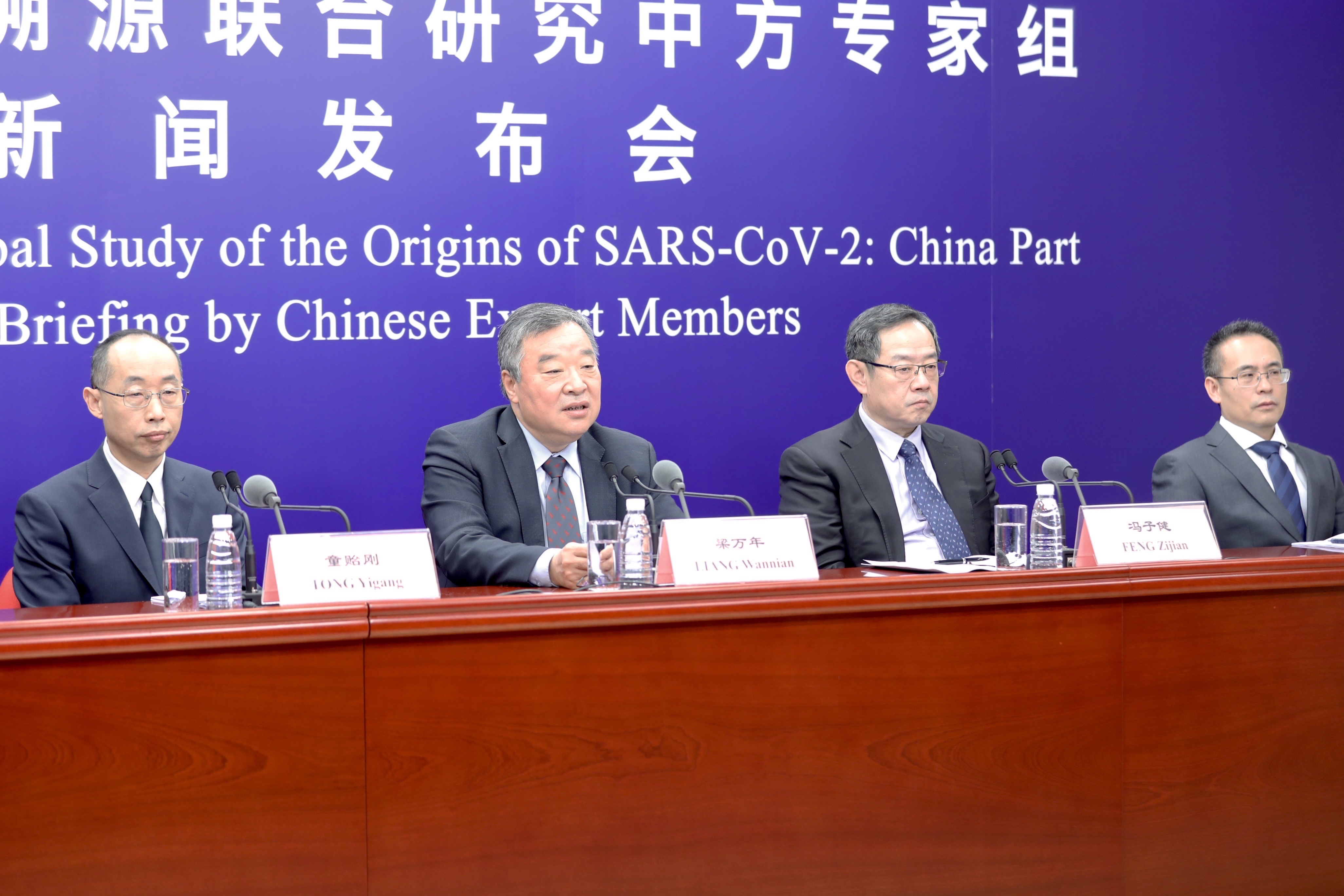 专家组最新动态,友情、家庭与爱的纽带日常观察与探讨