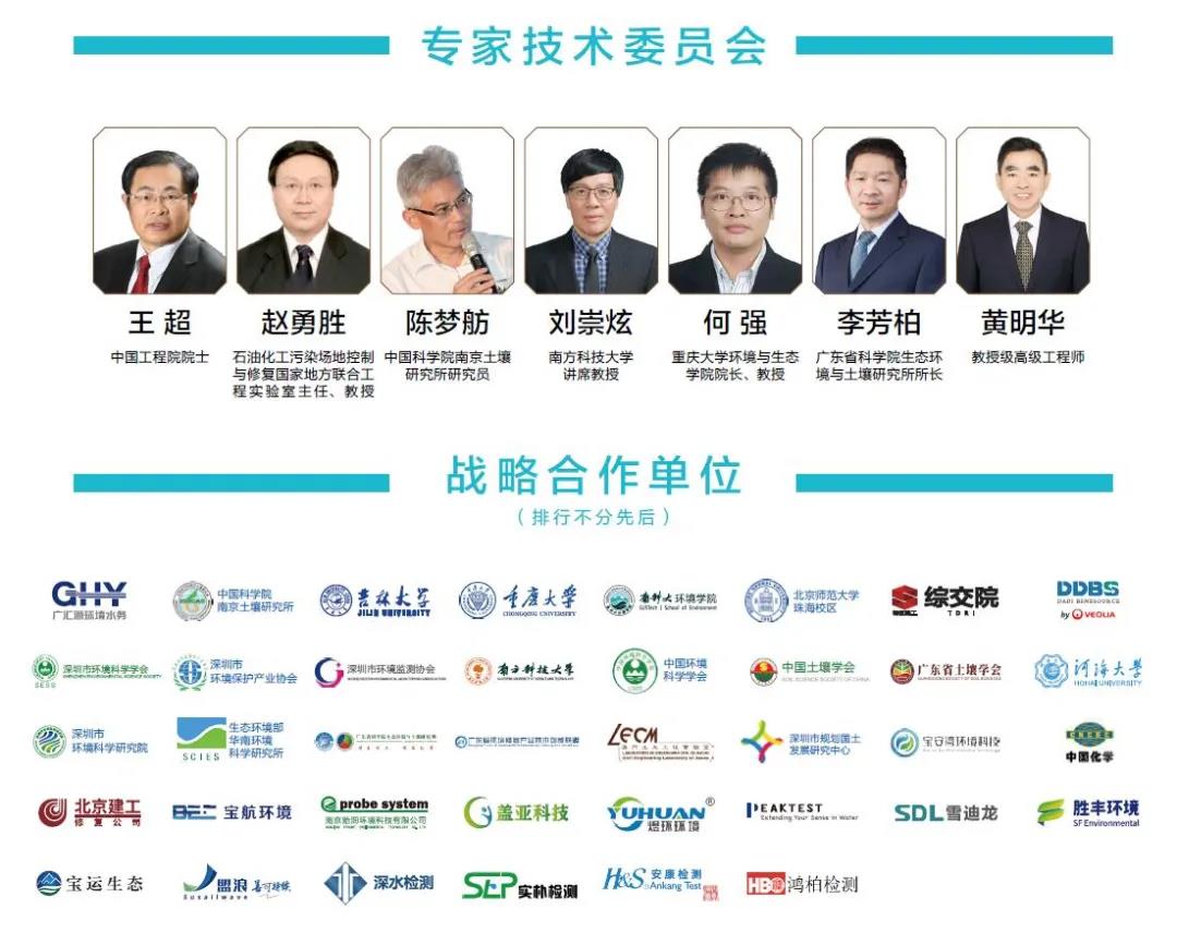 专家组最新动态,友情、家庭与爱的纽带日常观察与探讨