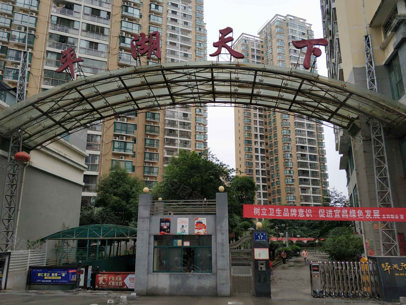 平湖天下四期最新动态,变化中的学习,自信与成就的力量