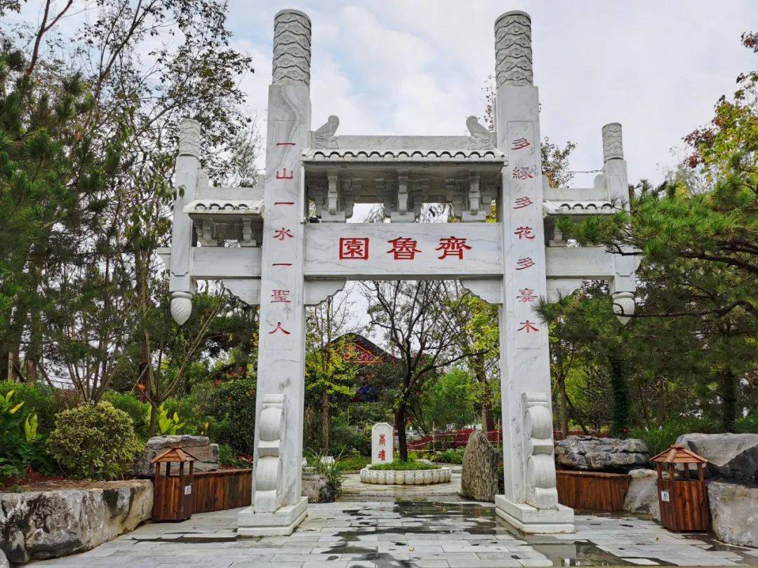 齐园资讯的中文改写版报道