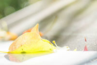 QQ头像精选,动漫男生风采展示