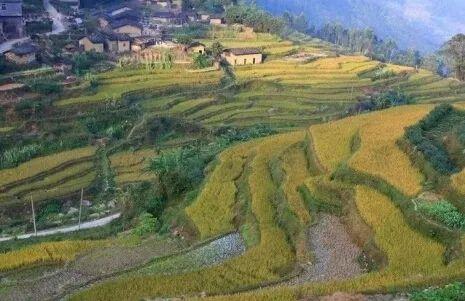 广东乡村医生最新动态资讯🌱