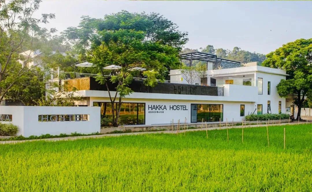 广东乡村医生最新动态资讯🌱