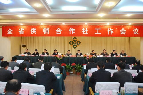 河南省供销社现任领导揭秘与小巷独特风味探索之旅