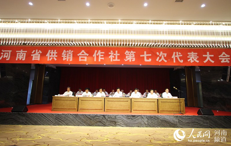 河南省供销社现任领导揭秘与小巷独特风味探索之旅