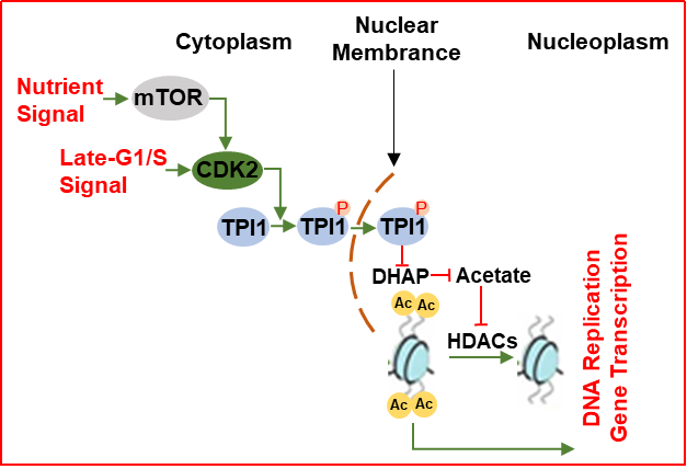 桂林公安人事调整最新动态,温暖人心的背后故事