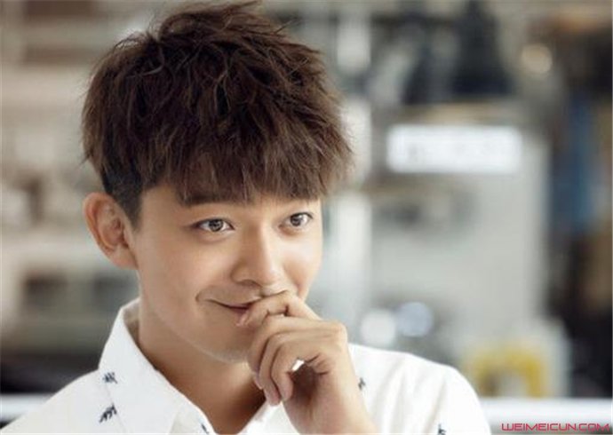 深度解析演员闫肃的演艺之路及其影响,个人资料一览