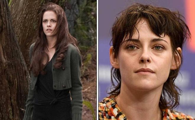 暮光之城系列,科技璀璨星辉下的演员风采与未来体验展现