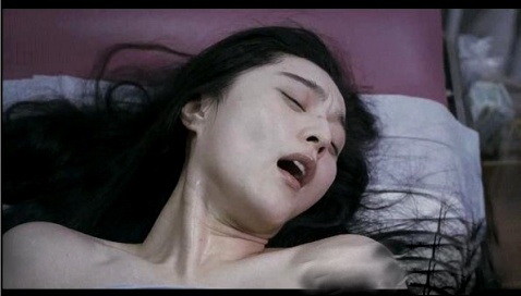 萍果电影在线观看,自然美景的治愈之旅探索之旅