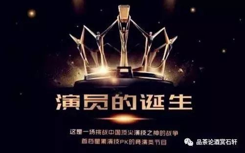 演员的诞生停播探因及其影响深度解析