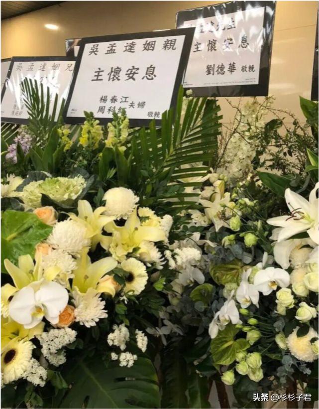 刘青云黎明电影,小巷深处的隐藏瑰宝