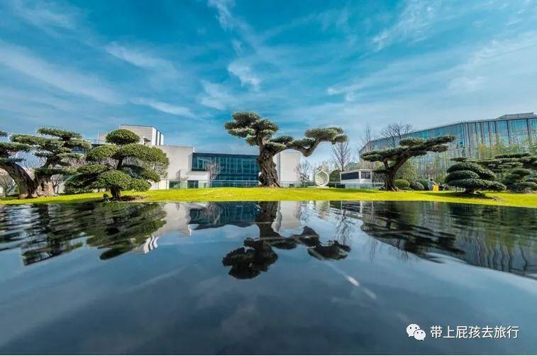 飞猪最新口令,时代呼唤与旅游业的变革同步前行