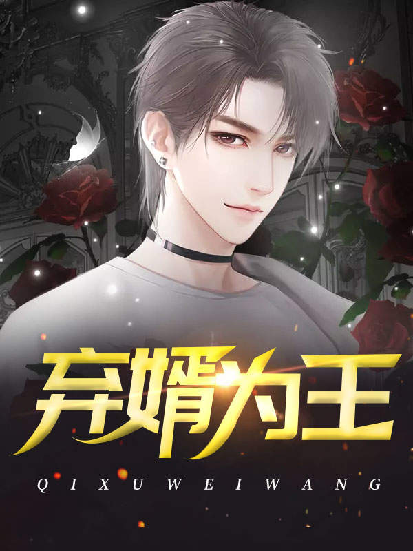 王婿新篇,时代变迁下的多维视角解读