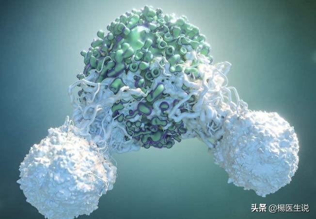 明星人体图片背后的光影魅力探索