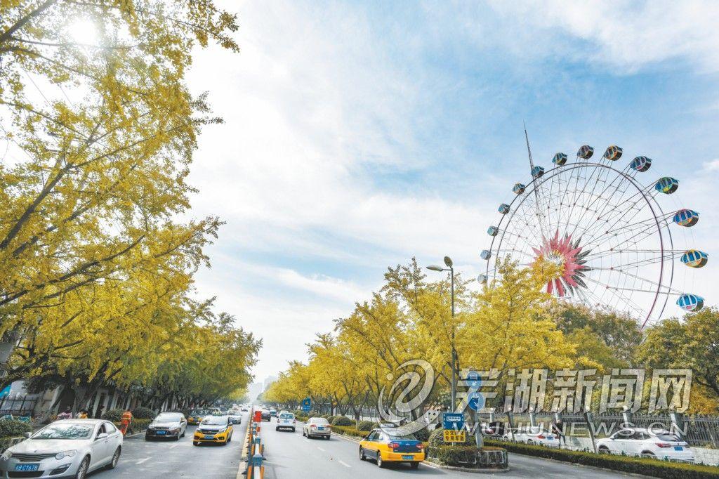 芜湖公园大道最新动态,城市发展的微观视角与宏观趋势分析