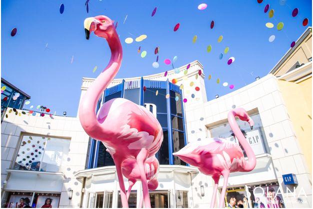 光影资讯,电影产业现状与未来展望