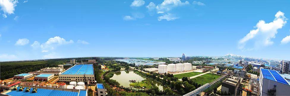 上市时机,探索学习与变化的魔力之旅